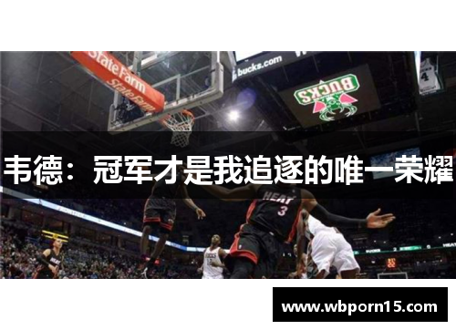 韦德：冠军才是我追逐的唯一荣耀